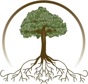 Tree_with_ Extensive_ Roots_ Vector PNG image