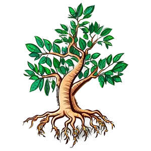 Tree With Roots Drawing PNG 70 PNG