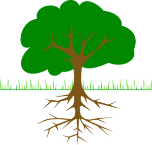 Tree_with_ Roots_ Vector_ Graphic