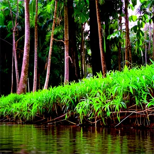 Treeline Along Riverbank Png Dcg PNG image