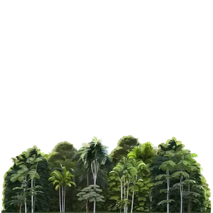 Treeline In Rainforest Png 45 PNG image