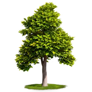 Trees B PNG