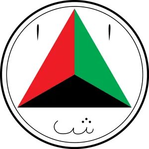 Triangular Air Force Logo