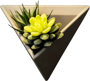 Triangular Planter With Succulent PNG image