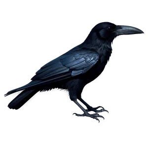 Tribal Crow PNG 05232024