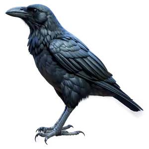 Tribal Crow PNG Iuy PNG