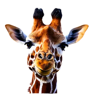 Tribal Giraffe Symbol PNG 05062024 PNG
