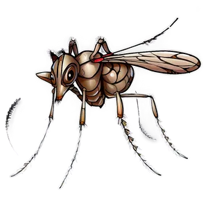Tribal Mosquito Png 05242024 PNG image
