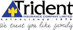 Trident Insurance Company Logo PNG image