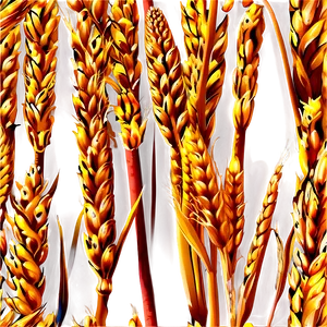 Trigo Wheat Field Png 06122024 PNG image