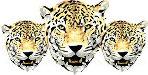 Triplet Leopard Illustration PNG