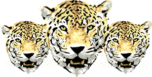 Triplet Leopard Illustration PNG image