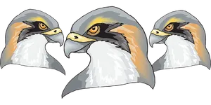 Triptych Eagle Heads Artwork