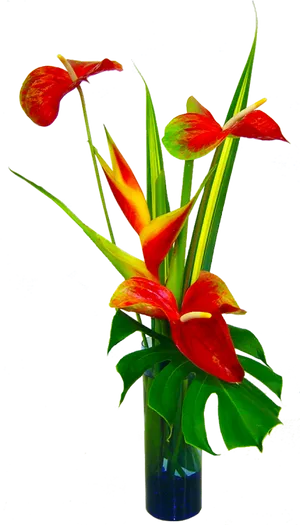 Tropical Anthuriumand Heliconia Arrangement PNG image