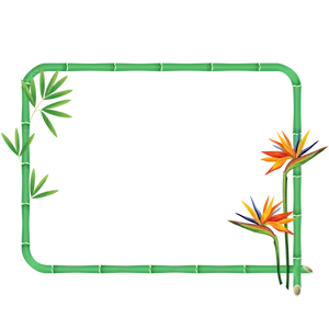 Tropical Bamboo Frame PNG