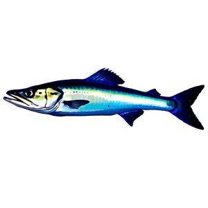 Tropical Barracuda Fish Png Lth37 PNG image