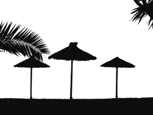 Tropical Beach Night Silhouette PNG image