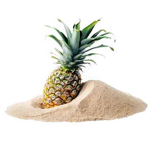 Tropical Beach Sand Png 45 PNG image