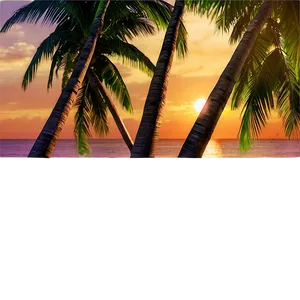 Tropical Beach Sunset PNG Tnf25