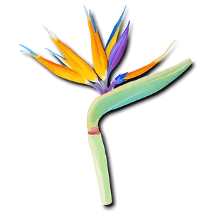 Tropical Bird Of Paradise Design Png Qia54 PNG image