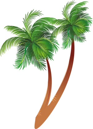 Tropical Coconut Trees Illustration PNG image