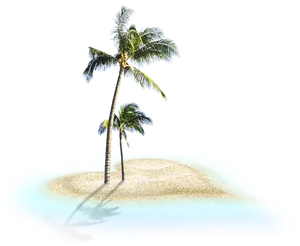 Tropical Coconut Treeson Island PNG image