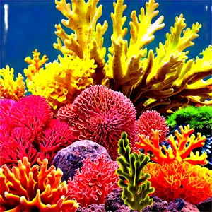 Tropical Coral Garden Png 05242024 PNG image
