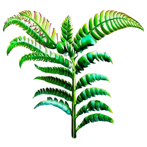 Tropical Fern Plant PNG 06272024