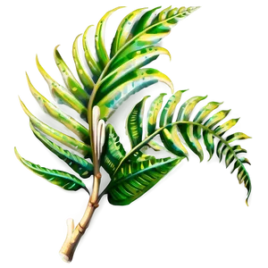 Tropical Fern Plant PNG Dra7 PNG