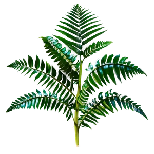 Tropical Fern Plant PNG Eon18 PNG