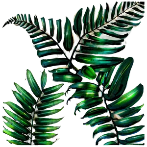 Tropical Ferns PNG 51 PNG