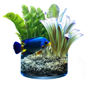Tropical Fish Tank PNG Yjg PNG