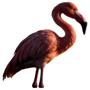 Tropical Flamingo Sunset Silhouette PNG 84