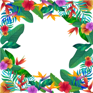 Tropical_ Floral_ Border_ Design PNG image