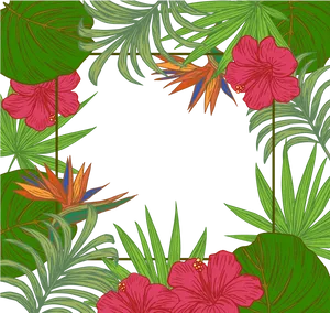 Tropical Floral Frame Black Background PNG image