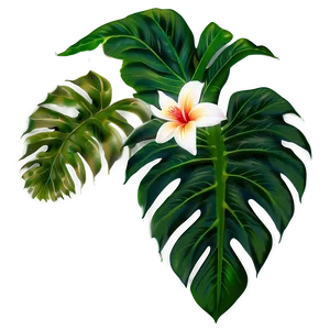 Tropical Floral Pattern PNG 19