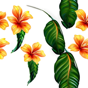 Tropical Floral Pattern PNG 31