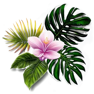 Tropical Flower Frame Png 43 PNG image