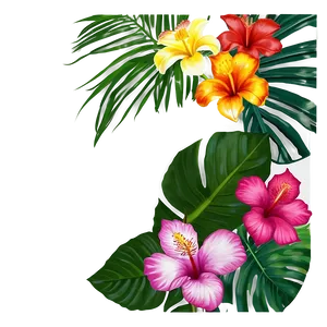 Tropical Flower Frame Png 74 PNG image