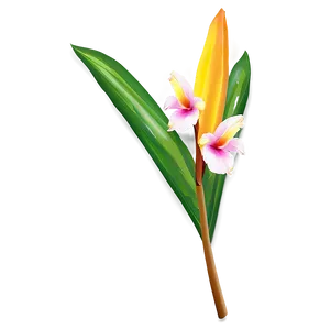 Tropical Flower Stem PNG 16