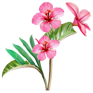 Tropical Flower Stem PNG Buw PNG