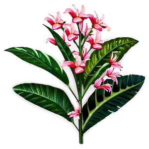 Tropical Flower Stem PNG Vqa83 PNG