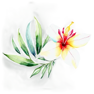 Tropical Flower Watercolor PNG Yls