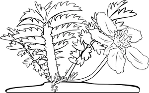 Tropical Flowerand Palm Silhouette PNG