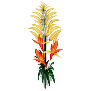 Tropical Flowering Plant PNG Pjm