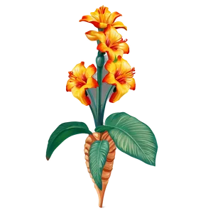 Tropical Flowering Plant PNG Xit PNG