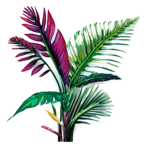 Tropical Foliage Plants PNG 05042024