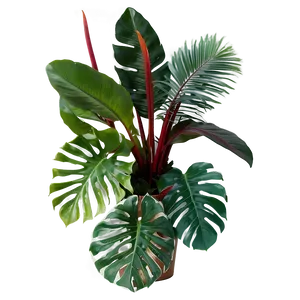 Tropical Foliage Plants PNG Jfj