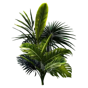 Tropical Foliage Png 06252024 PNG image