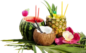 Tropical Fruit Cocktails Display PNG image